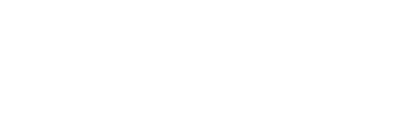 5th Discipline logo with the name on the right, in white, representing our commitment to empowering businesses to thrive through strategic solutions and sustainable growth.